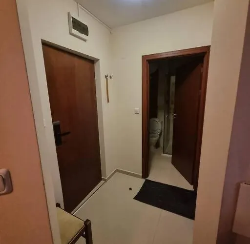 Domo 12 Belmont, Apartment